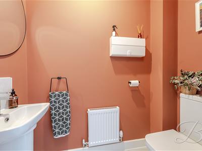 Picture 11